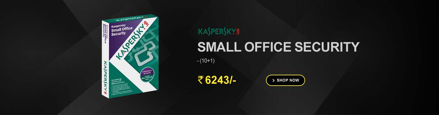 Kaspersky Small Office Security (10 1)
